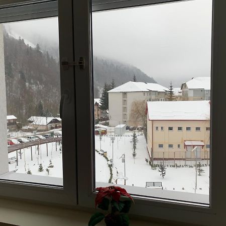 Studio 41 Азуга Екстер'єр фото