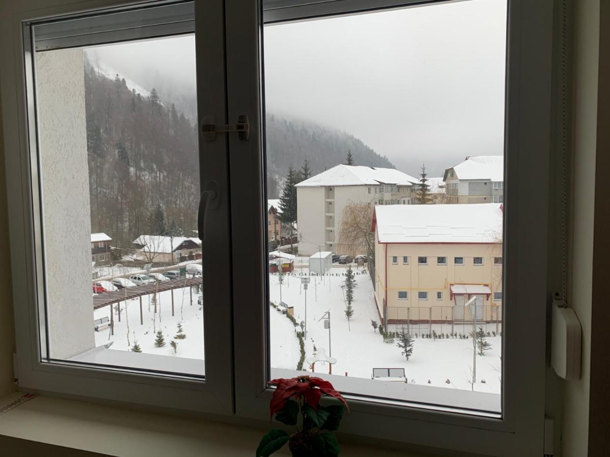 Studio 41 Азуга Екстер'єр фото