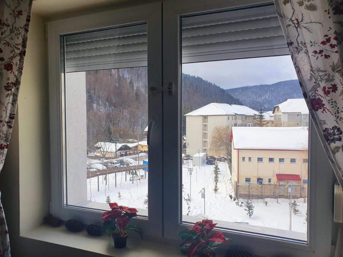 Studio 41 Азуга Екстер'єр фото