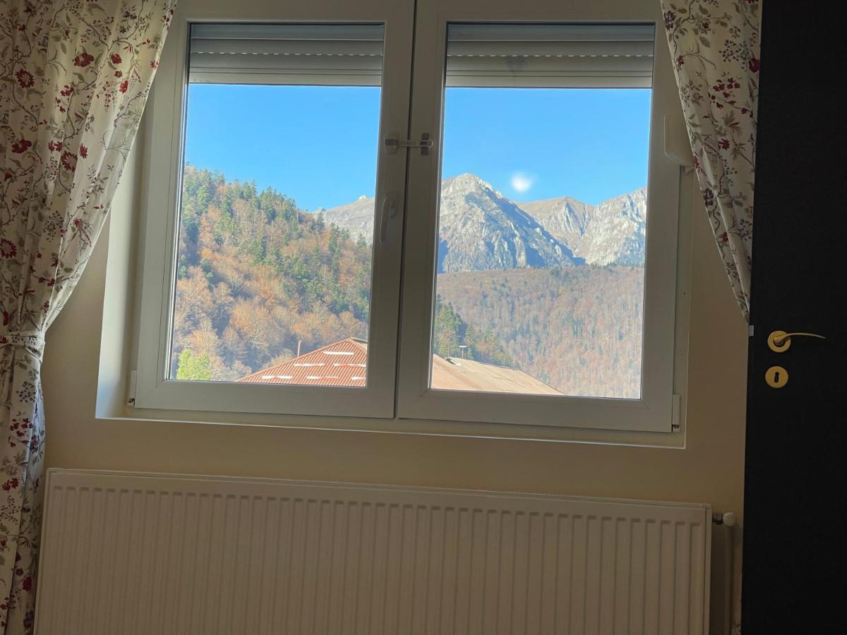 Studio 41 Азуга Екстер'єр фото